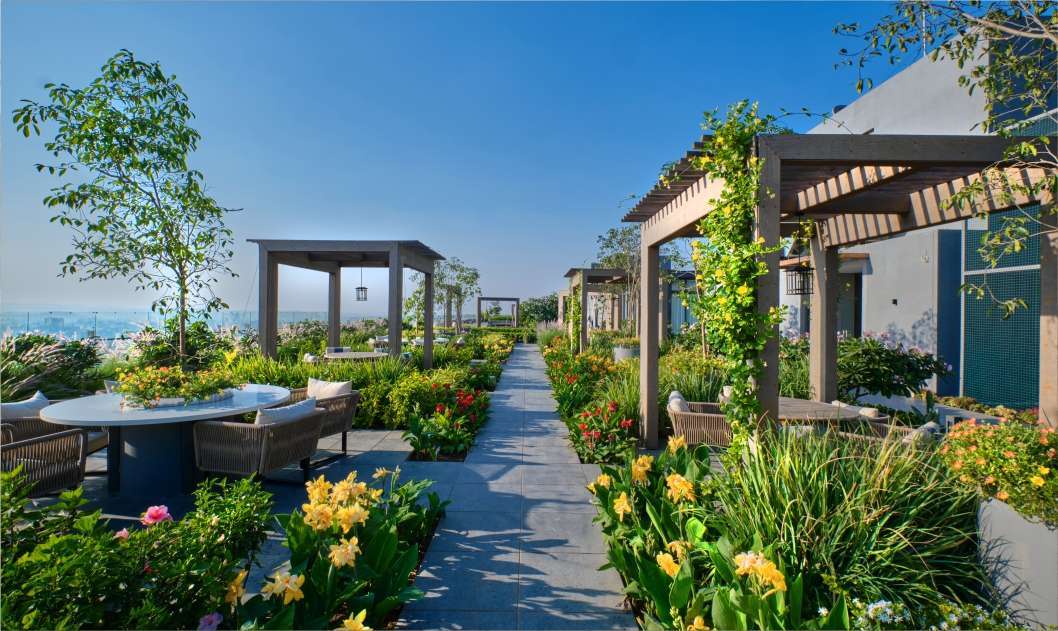 The Ark NIBM, Voyage To The Stars zen-garden-image